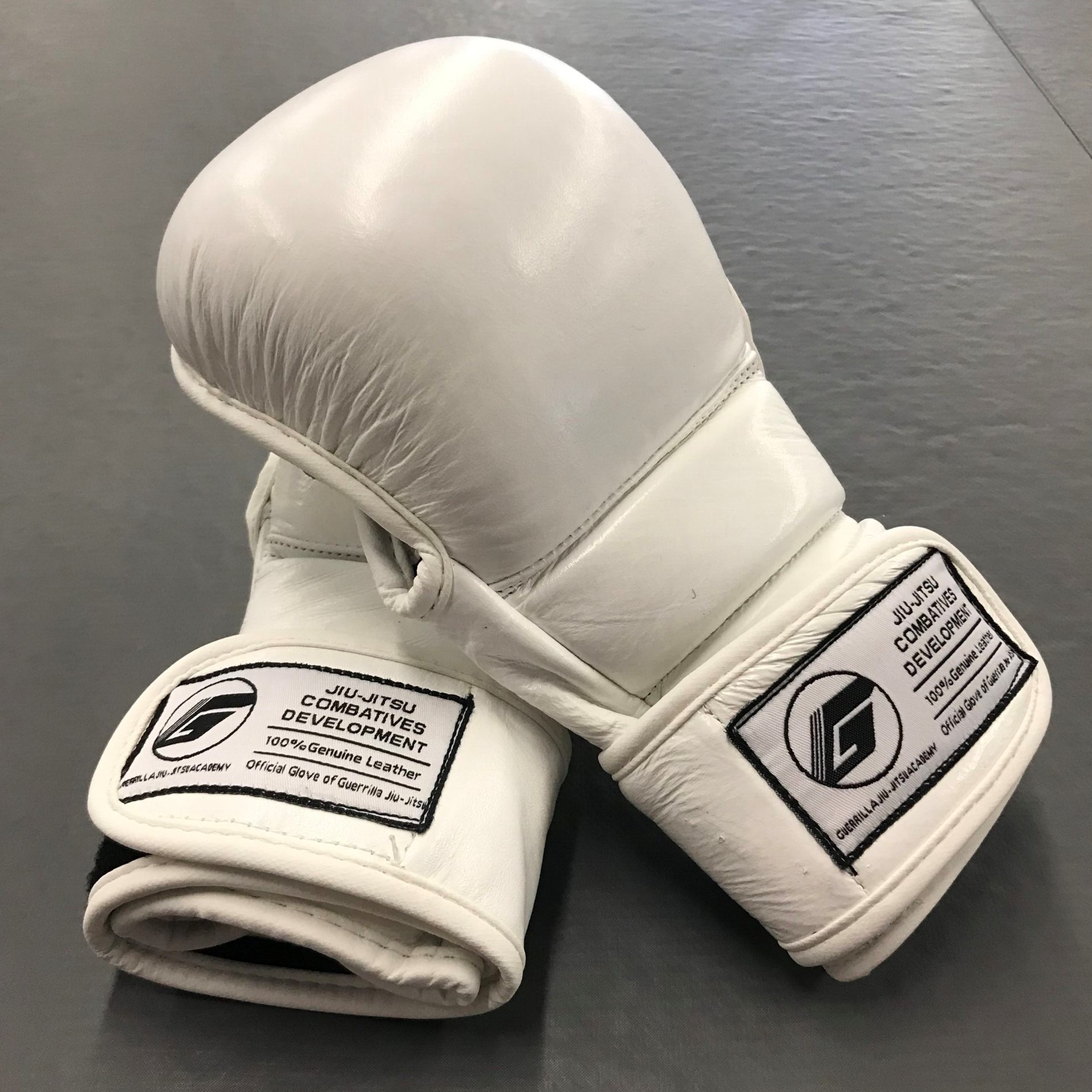 Jiu-Jitsu gloves