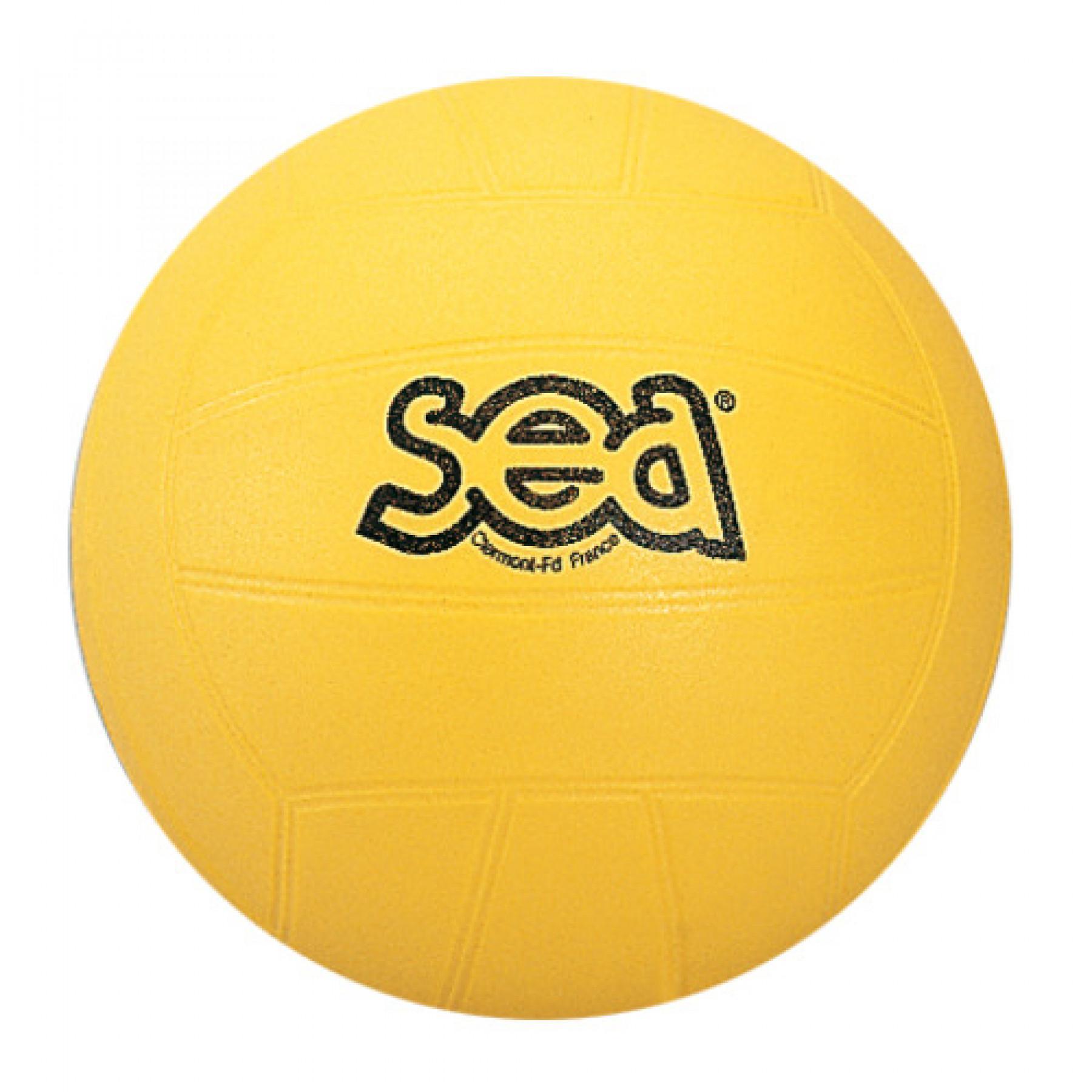 Initiation volleyball Sporti France Sea