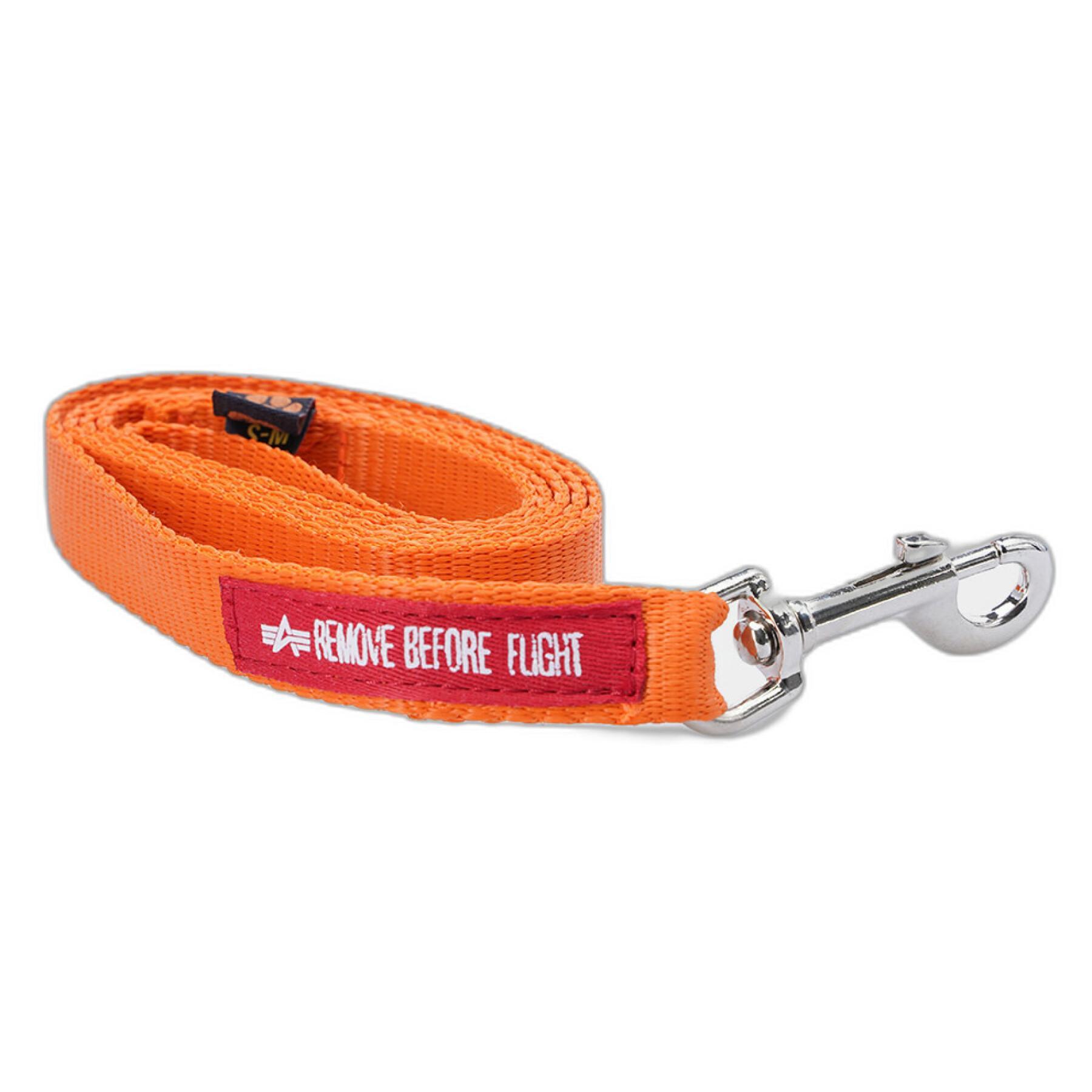 Basic dog leash Alpha Industries Basic