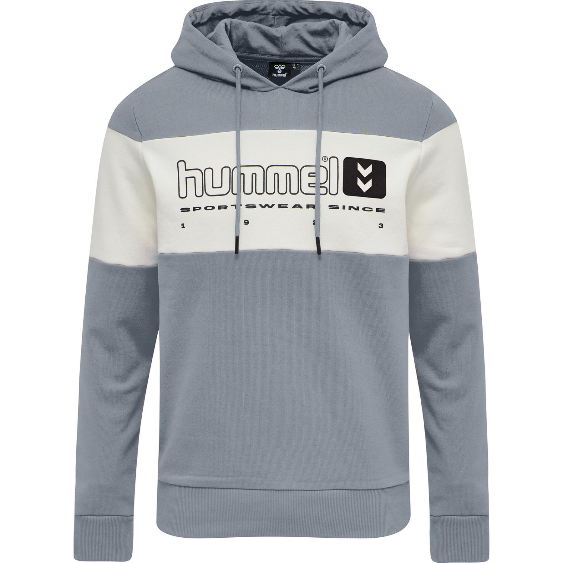 Hooded sweatshirt Hummel hmlLGC musa
