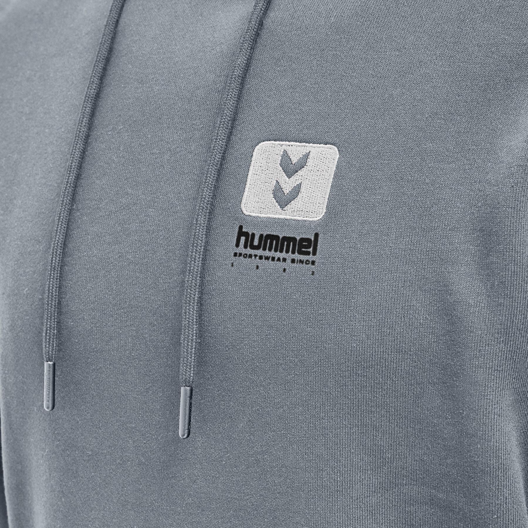 Hooded sweatshirt Hummel hmlLGC graham
