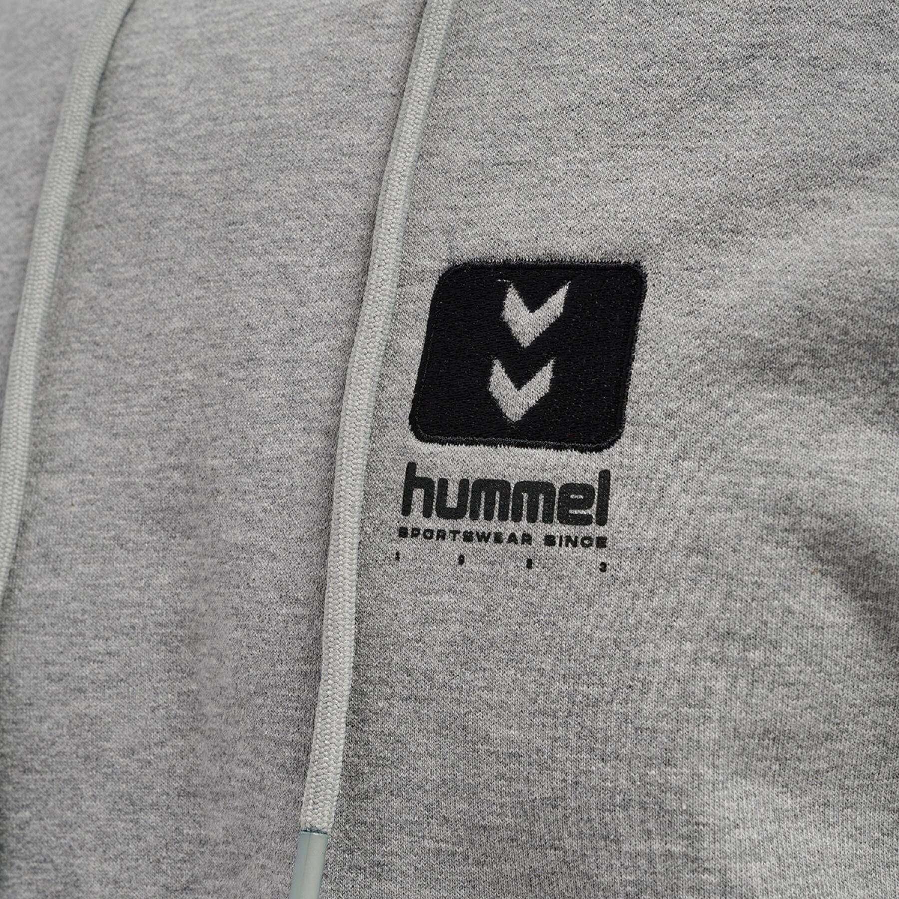 Hooded sweatshirt Hummel hmlLGC graham