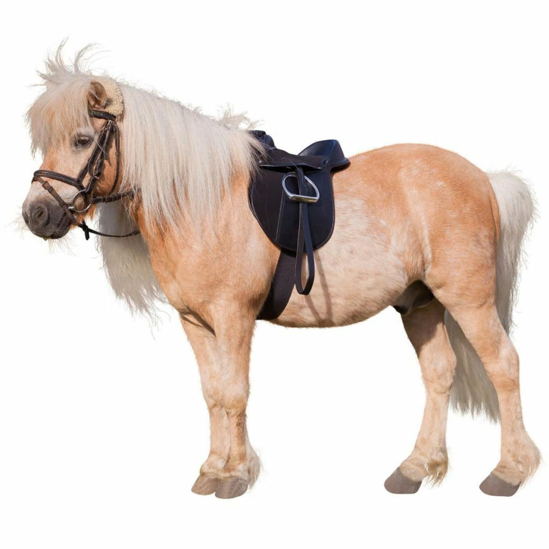 Equipped bardette Kerbl economy pony