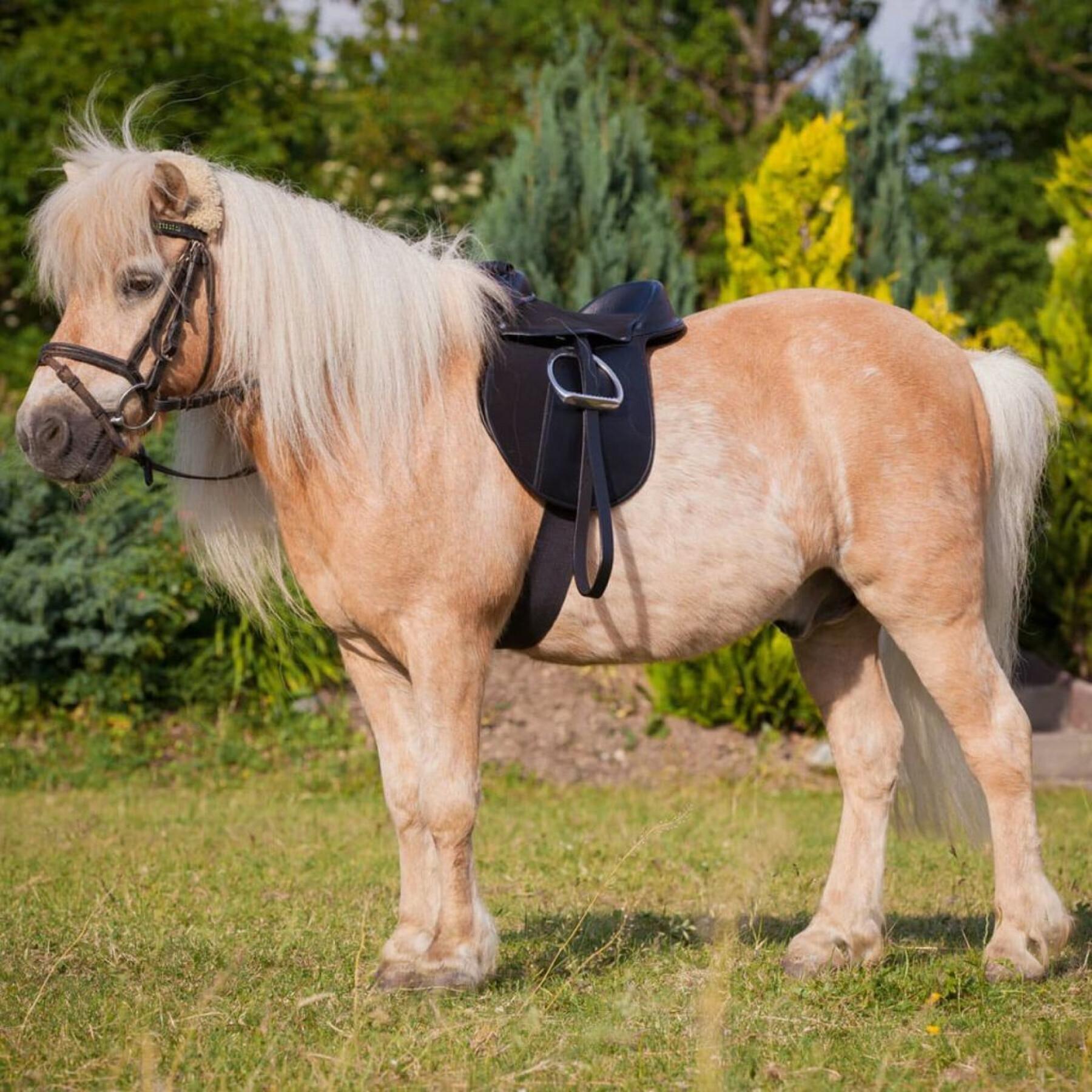 Equipped bardette Kerbl economy pony