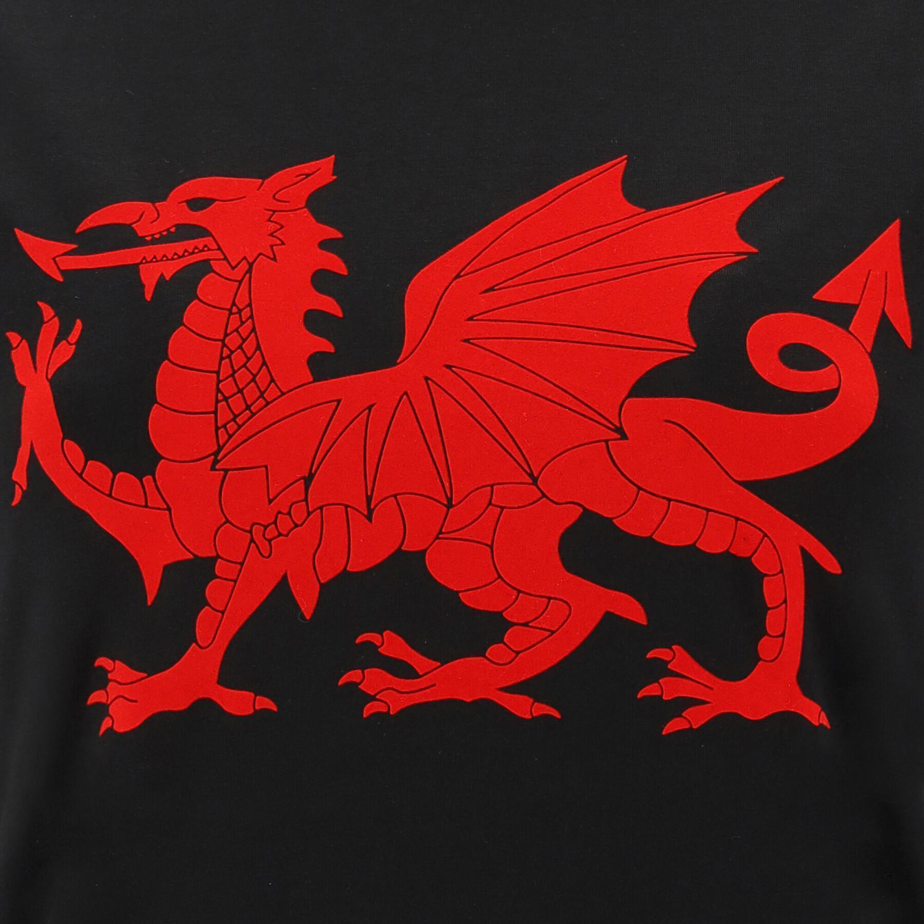 Women's T-shirt Pays de Galles Rugby XV 2020/21