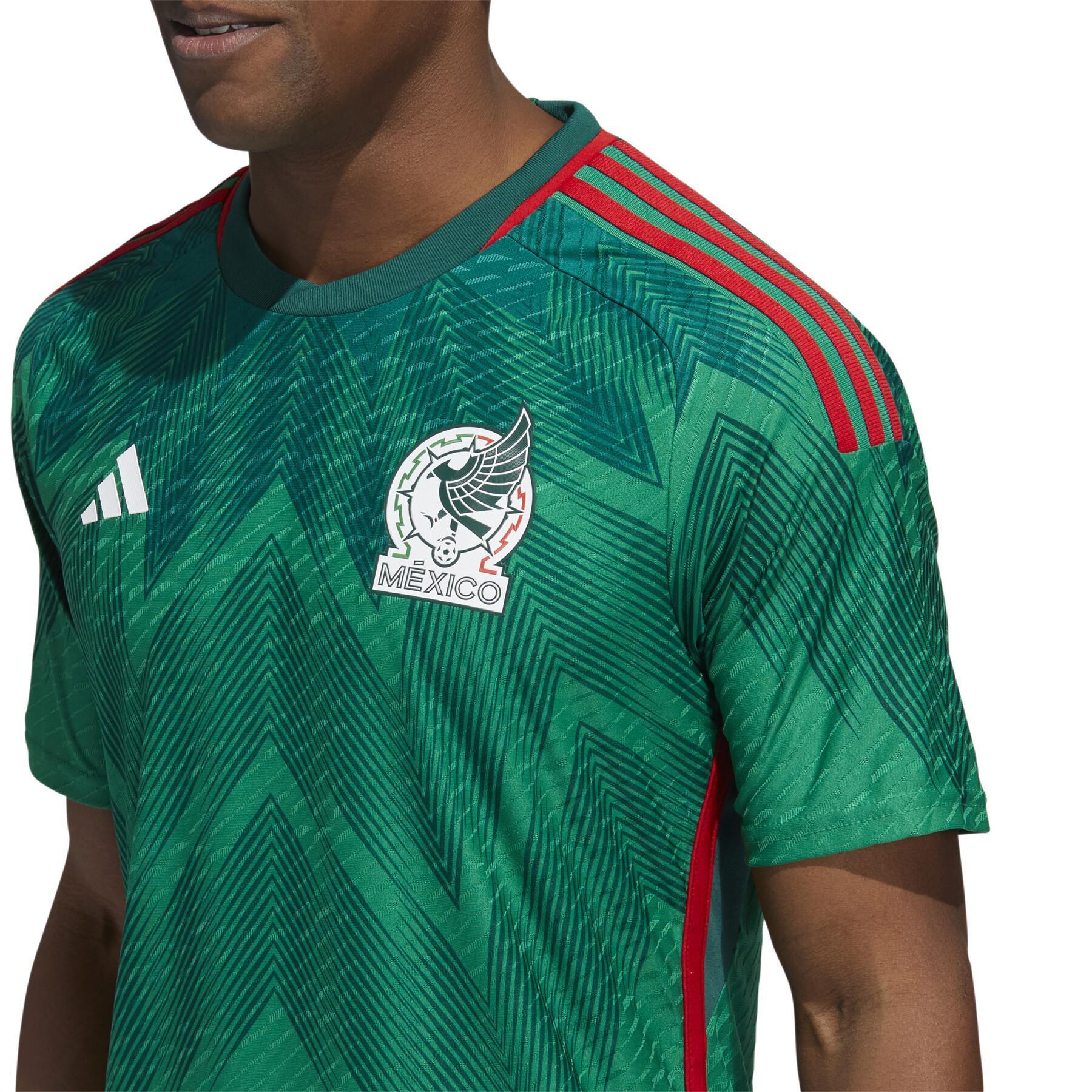 Authentic World Cup 2022 home jersey Mexique