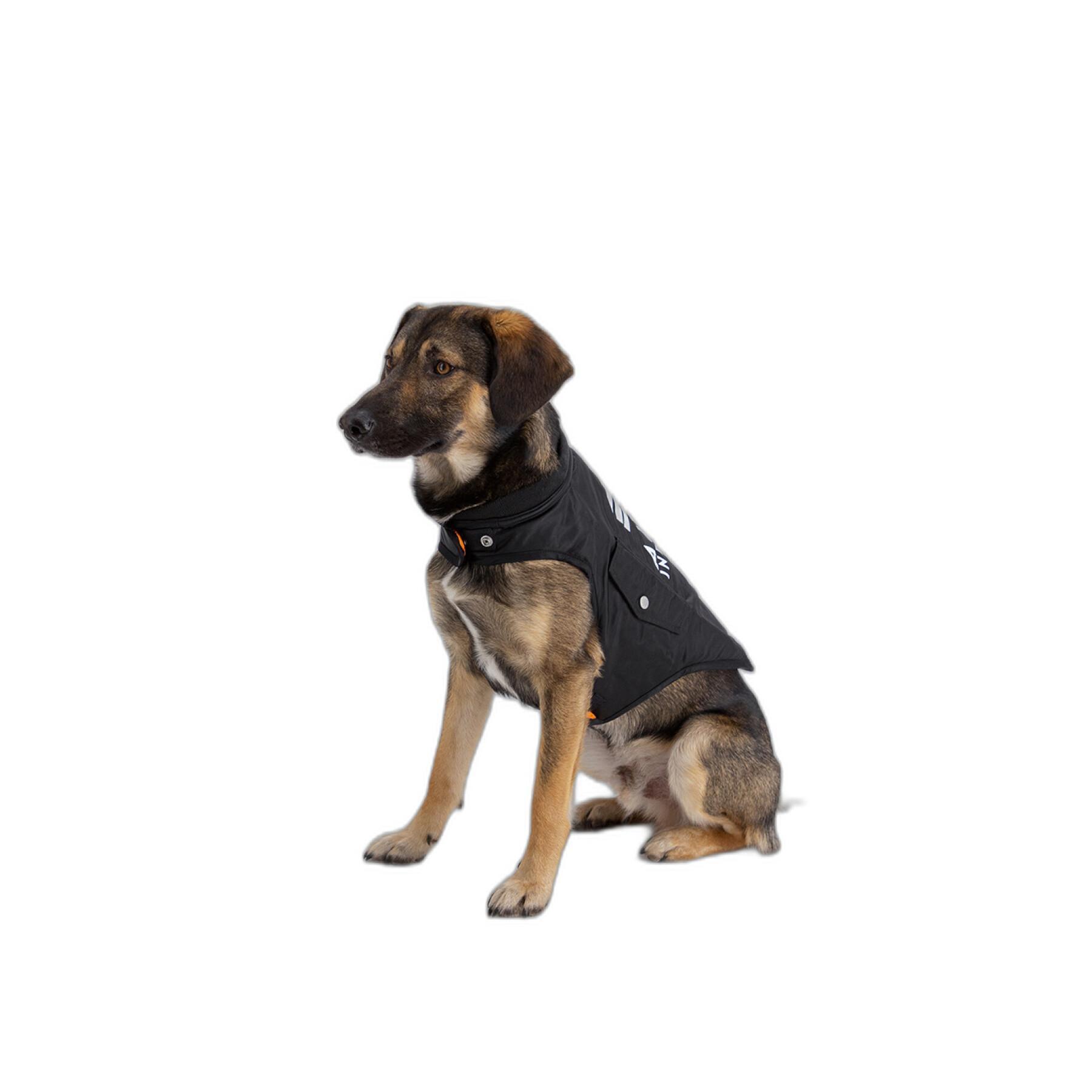 Dog coat Alpha Industries MA-1 Backprint
