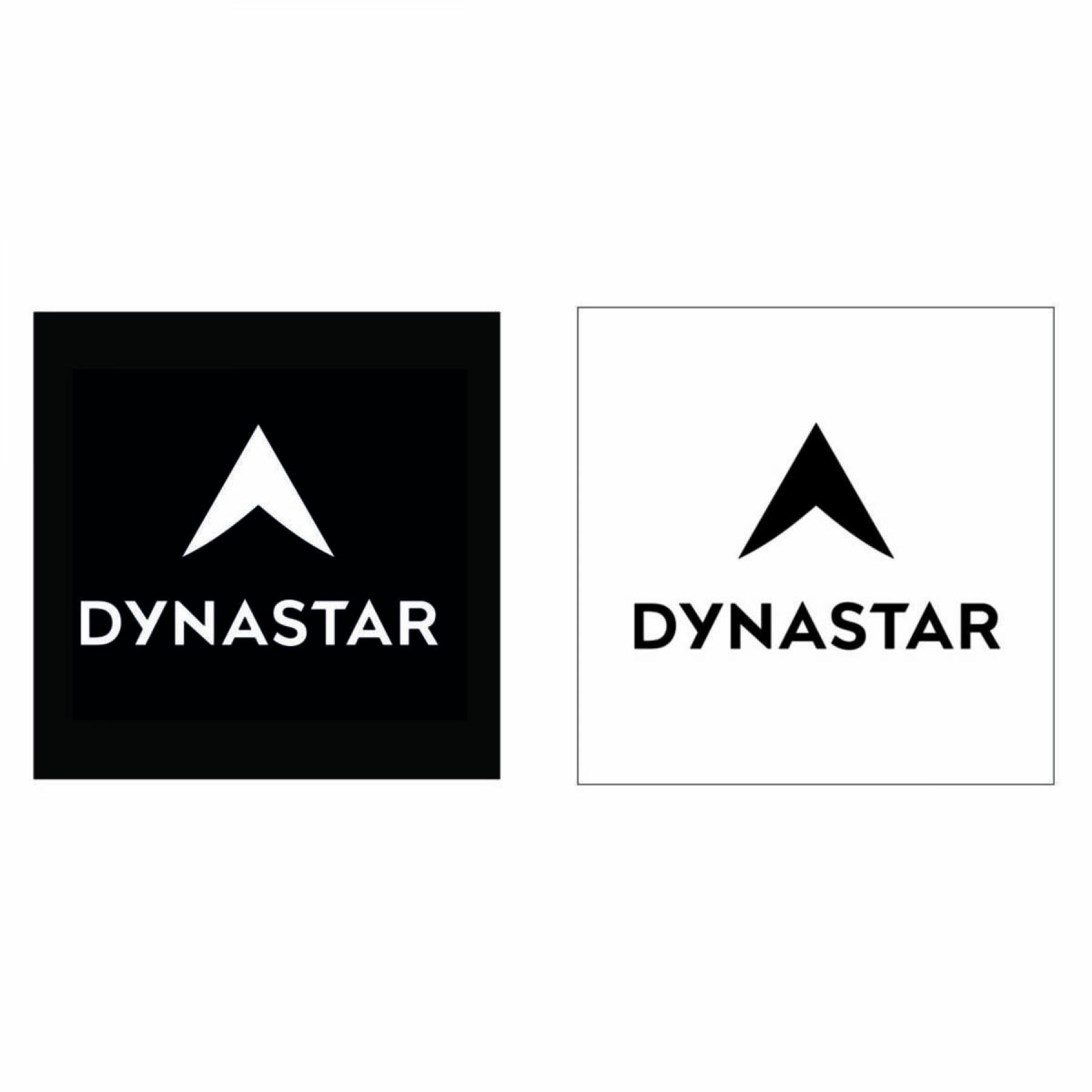 Stickers Dynastar L100 corporate