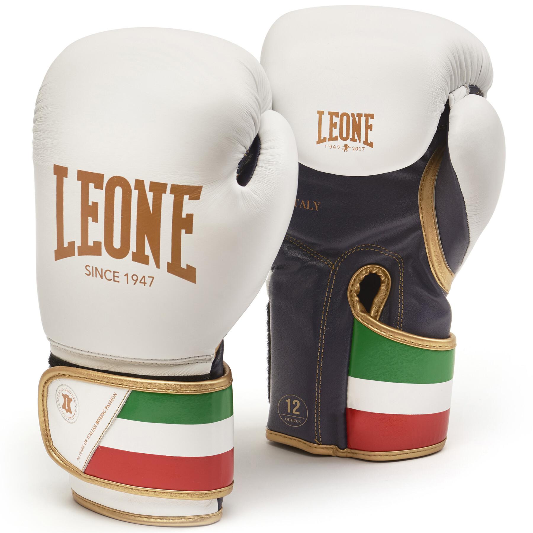 Boxing gloves Leone Italy 14 oz