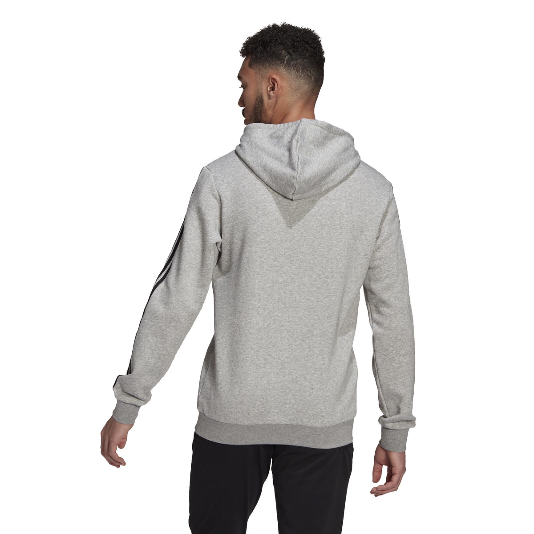 Hooded sweatshirt adidas Essentials Logo Colorblock