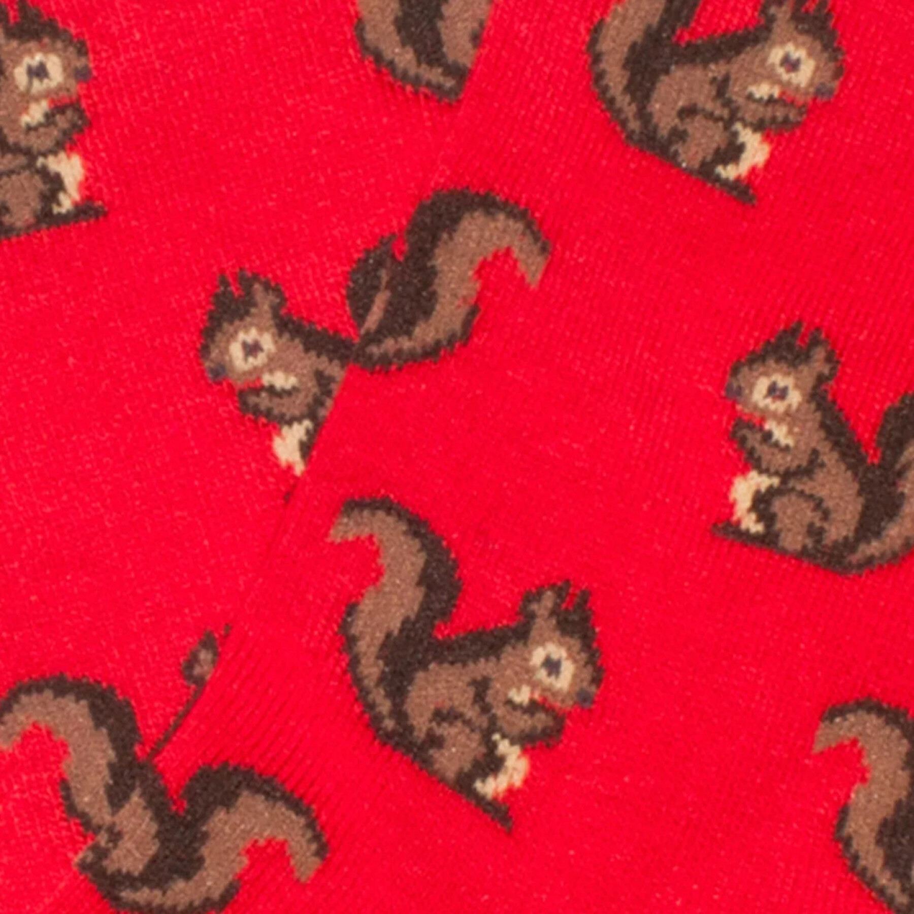 Baby socks Jimmy Lion Squirrels