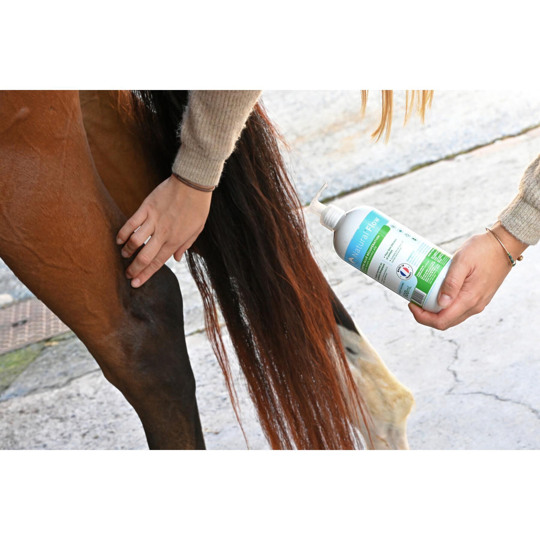 Massage gel for horses Natural Flow 500ml