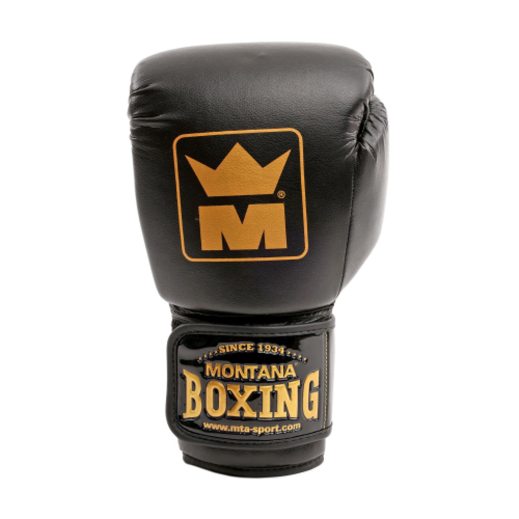 Boxing gloves Montana x-perience