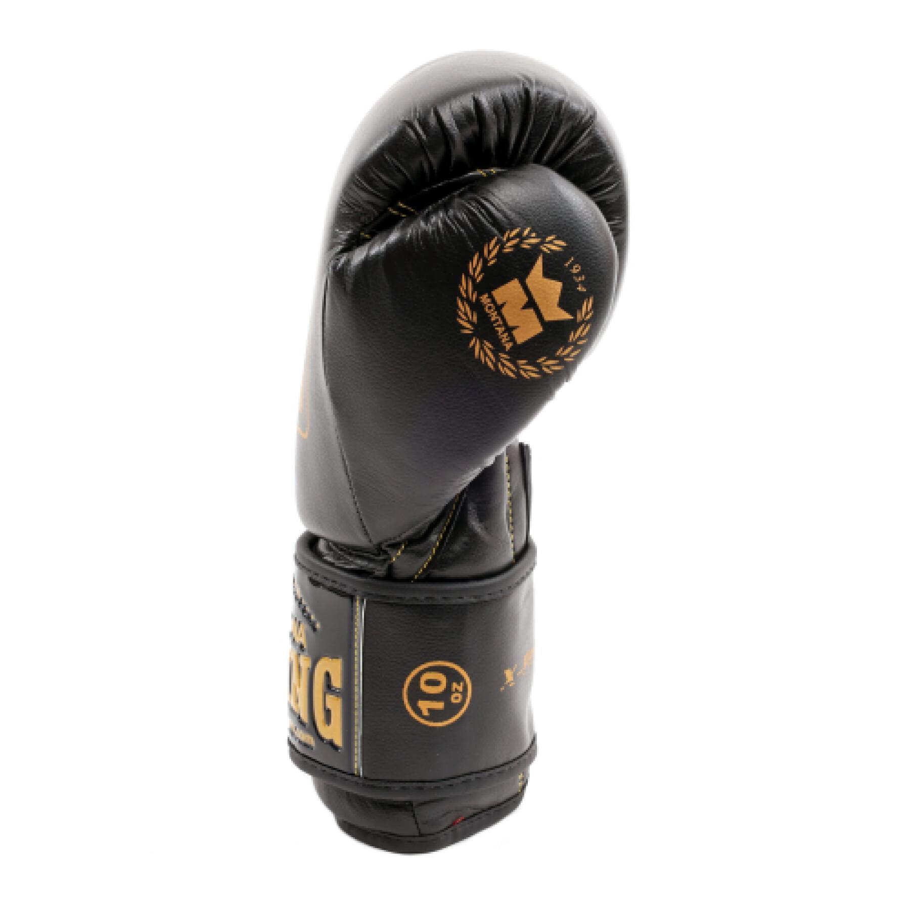 Boxing gloves Montana x-perience