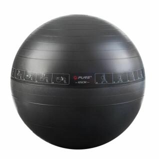 Fitness balls Pure2Improve 65cm