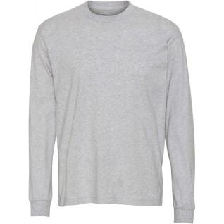 Long sleeve T-shirt Colorful Standard Organic oversized heather grey