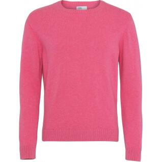 Wool round neck sweater Colorful Standard Classic Merino bubblegum pink 2020 color