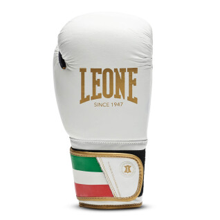 Boxing gloves Leone Italy 12 oz