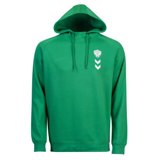 Hooded sweatshirt asse fan green 2022/23