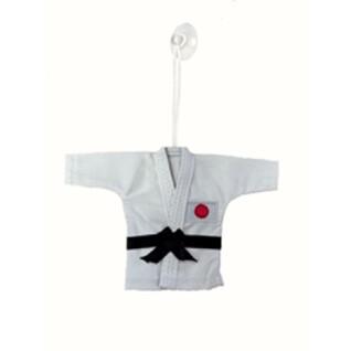 Lot of 10 mini kimono Mizuno Karategi