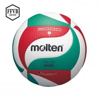 Competition Volleyball Molten