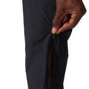 Pants Asics Core Woven