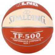 Balloon Spalding LNB Tf500 (76-387z)