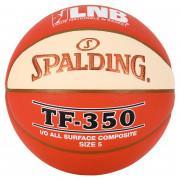 Balloon Spalding LNB Tf350 (76-383z)