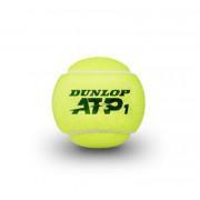 Tennis balls Dunlop ATP 4tin
