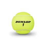 Set of 3 tennis balls Dunlop extra life