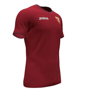 Training jersey Torino FC 2021/22 Paseo
