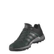 Hiking shoes adidas Terrex Daroga Plus