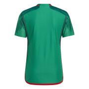 Authentic World Cup 2022 home jersey Mexique