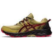 Shoes from trail Asics Gel-Venture 9