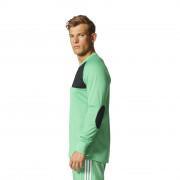 Goalkeeper jersey adidas Assita 17