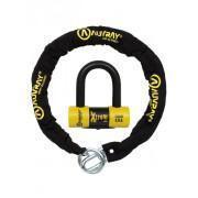 Chain lock + lock 120 lasso Auvray