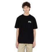 Short sleeve T-shirt Dickies Aitkin Chest