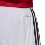 Home shorts Benfica Lisbonne 2020/21