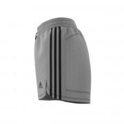Women's shorts adidas Elevated Woven Primeblue Pacer