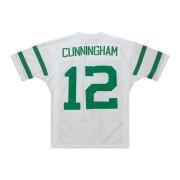 Authentic jersey Eagles Randall Cunningham Alternate 1994