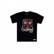 last dance t-shirt Chicago Bulls '96 champs