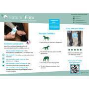 Massage gel for horses Natural Flow 500ml