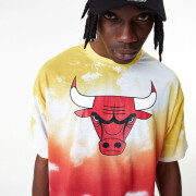 Printed T-shirt Chicago Bulls NBA Sky All Over