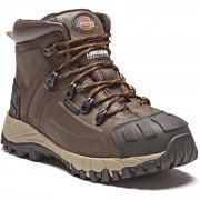 Safety shoes Dickies Medway