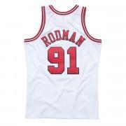 Jersey Chicago Bulls Dennis Rodman