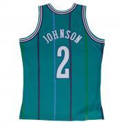 Jersey Charlotte Hornets Swingman Larry Johnson #2