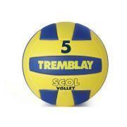 Tremblay scol'volley ball