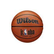 Balloon Wilson JR NBA Authentic series outdoor